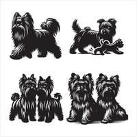 Affenpinscher dog silhouette icon graphic logo design vector