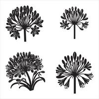 agapanthus silueta icono gráfico logo diseño vector