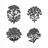 Alyssum flower silhouette icon graphic logo design vector