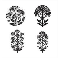 Alyssum flower silhouette icon graphic logo design vector