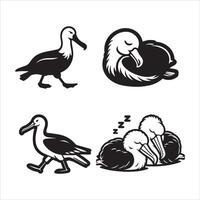 Albatross birds silhouette icon graphic logodesign vector