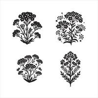 Alyssum flower silhouette icon graphic logo design vector