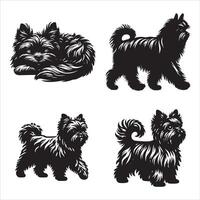 Affenpinscher dog silhouette icon graphic logo design vector