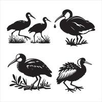 African Jacana silhouette icon graphic logo design vector