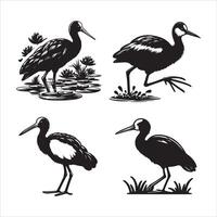 africano jacana silueta icono gráfico logo diseño vector