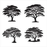 Acacia tree silhouette icon graphic logo design vector