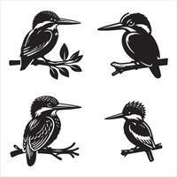 Kingfisher silhouette icon graphic logo design vector