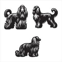 Afghan Hound silhouette icon graphic logo design vector