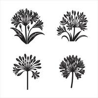 Agapanthus silhouette icon graphic logo design vector