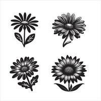 Daisy flower silhouette icon graphic logo design vector