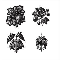 Abutilon flower silhouette icon graphic l vector