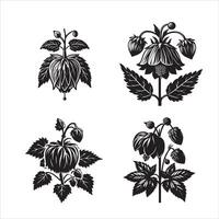 Abutilon flower silhouette icon graphic l vector