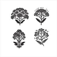 Alyssum flower silhouette icon graphic logo design vector