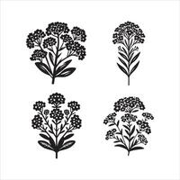 Alyssum flower silhouette icon graphic logo design vector