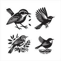 Aquatic Warbler silhouette icon graphic logo design vector