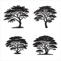 Acacia tree silhouette icon graphic logo design vector