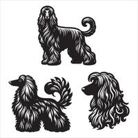 Afghan Hound silhouette icon graphic logo design vector