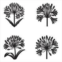 agapanthus silueta icono gráfico logo diseño vector