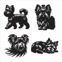 Affenpinscher dog silhouette icon graphic logo design vector