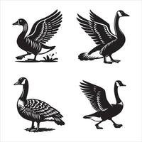 Goose silhouette icon graphic logo design vector