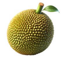 Jackfruit Jackfruit without background png