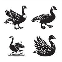 Goose silhouette icon graphic logo design vector