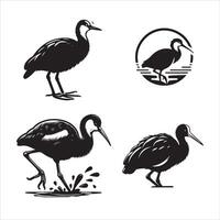 African Jacana silhouette icon graphic logo design vector