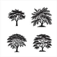 Acacia tree silhouette icon graphic logo design vector