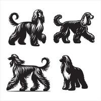 Afghan Hound silhouette icon graphic logo design vector