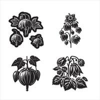 Abutilon flower silhouette icon graphic l vector