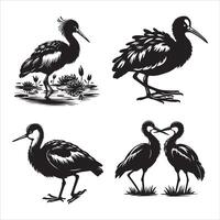 africano jacana silueta icono gráfico logo diseño vector