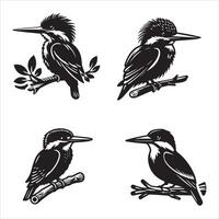 Kingfisher silhouette icon graphic logo design vector