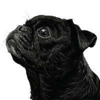 mignonne chiots, chienchien aimer, les chiots, chienchien, chien vie, chien png