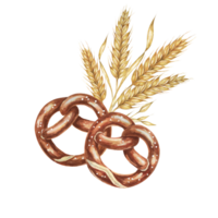 dos salado pretzels con fondo de dorado trigo orejas. acuarela ilustración para culinario, panadería, Oktoberfest diseños en realista estilo. tradicional aperitivo clipart para volantes, carteles, cervecería png