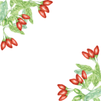 rood goji bessen en groen bladeren hoek kader ontwerp. hand getekend waterverf illustratie voor diy afdrukken, groet kaart maken, citaat, geschenk label, label, uitnodiging, ansichtkaart, plein folder sjabloon png