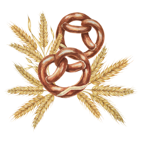 pretzels con fondo de dorado trigo orejas. acuarela ilustración para culinario, panadería, Oktoberfest diseños en realista estilo. cereal grano y Respaldados bocadillo clipart para volantes, carteles, cervecería png