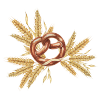 Soft Pretzel with backdrop of golden wheat ears. Watercolor illustration for culinary, bakery, Oktoberfest designs in realistic style. Bavarian snack clipart for flyers, posters, brewery, coasters png