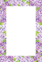 acuarela marco con púrpura lila en un transparente antecedentes. vertical frontera de primavera flores en lavanda color. crear provence estilo Boda invitaciones, salvar el fecha o invitaciones png