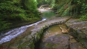 A small mountain river flows in the jungle. CREATIVE. Brown stones in a transparent river. Small river with waves and rocks. There is a ladder in the background video