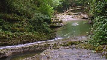 A small mountain river flows in the jungle. CREATIVE. Brown stones in a transparent river. Small river with waves and rocks. There is a ladder in the background video