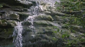 A stream of water slowly flows down the rocks. CREATIVE. The flow of the stream runs over the stones in the mountains. A slow stream flows down in the jungle video