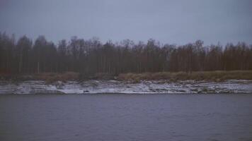 View of the night coast with trees. CLIP View from the boat to the trees. Part of a white boat in the frame against the background of the night sky video