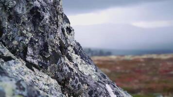 Part of the mountains is close. CLIP Stone surface with lichen. Black and white mountain. Steppe in the background video