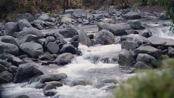 Waterfall from stones on a stream. clip. Stream in the forest. Water flows down from the stones from the river. Mountain river with rapids video