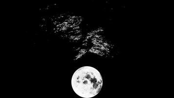3d lua refletido em água dentro escuro. Projeto. cheio lua é refletido dentro com nervuras água. Sombrio ondas do mar refletir luar às noite video