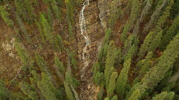 Aerial view of Angel's Staircase Falls in Yoho National Park video