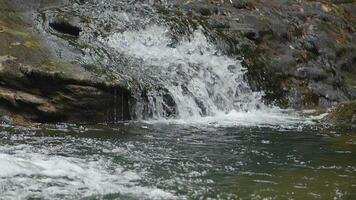 Peaceful fresh water in the beautiful waterfall. Creative. Mountainous water stream on a summer day in slow motion. video