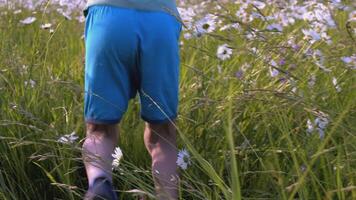 das Junge läuft durch das Wiese mit Blumen. kreativ. Rückseite Aussicht von ein Kind Laufen durch ein Feld von Gänseblümchen. ein Kind im Blau Kleider läuft durch das hoch Gras mit Gänseblümchen video