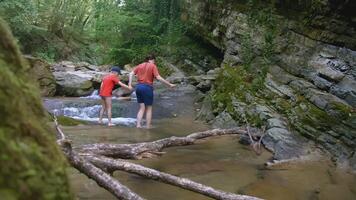 River in the jungle. CREATIVE. In the green jungle, two people are hustling and a river is flowing. In the foreground is a branch with moss. Behind the branch a stream runs and mothers and sons go video