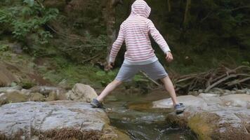 Boy walks in wild forest in summer. Creative. Boy enjoys and has fun walking in wild forest in summer. Summer hike with child in forest video